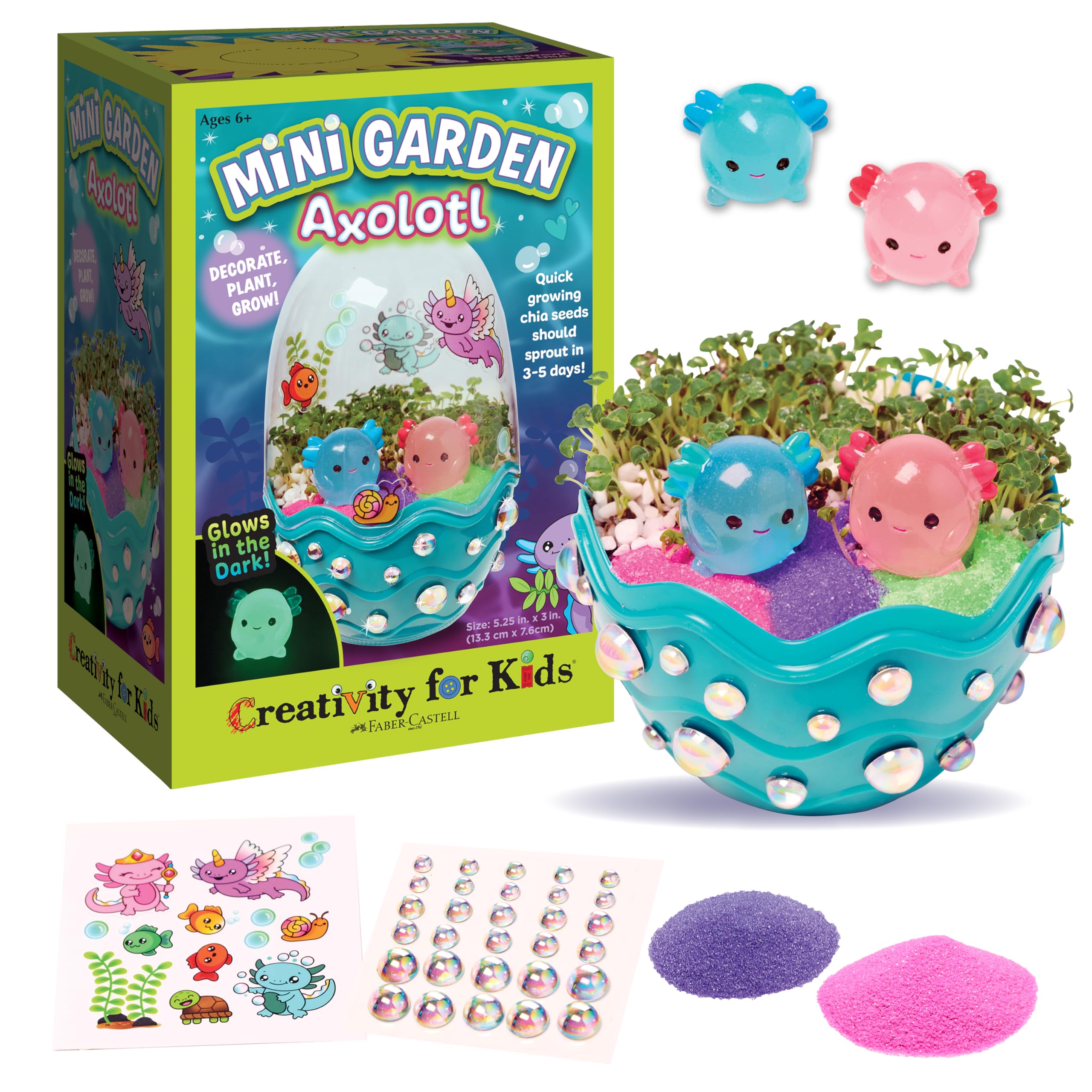 Amazon.com: Creativity for Kids Mini Garden: Axolotl Terrarium